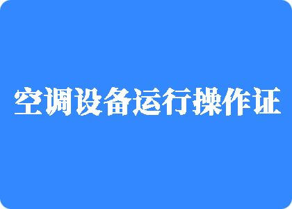 大鸡巴操浪屄视频制冷工证