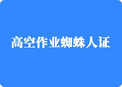 日胖屄在线观看高空作业蜘蛛人证